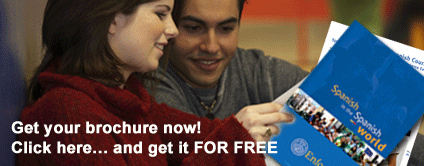 Enforex Brochure