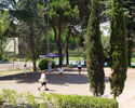 plaza colon
