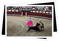 bullfight