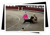 Bullfighting